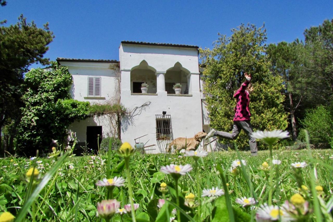 Agriturismo "Borgo Madonna Degli Angeli" - Charming Cottages In The Gardens ! Tocco da Casauria Eksteriør billede