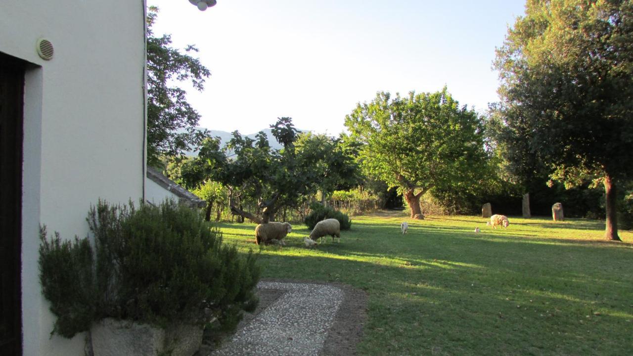 Agriturismo "Borgo Madonna Degli Angeli" - Charming Cottages In The Gardens ! Tocco da Casauria Eksteriør billede