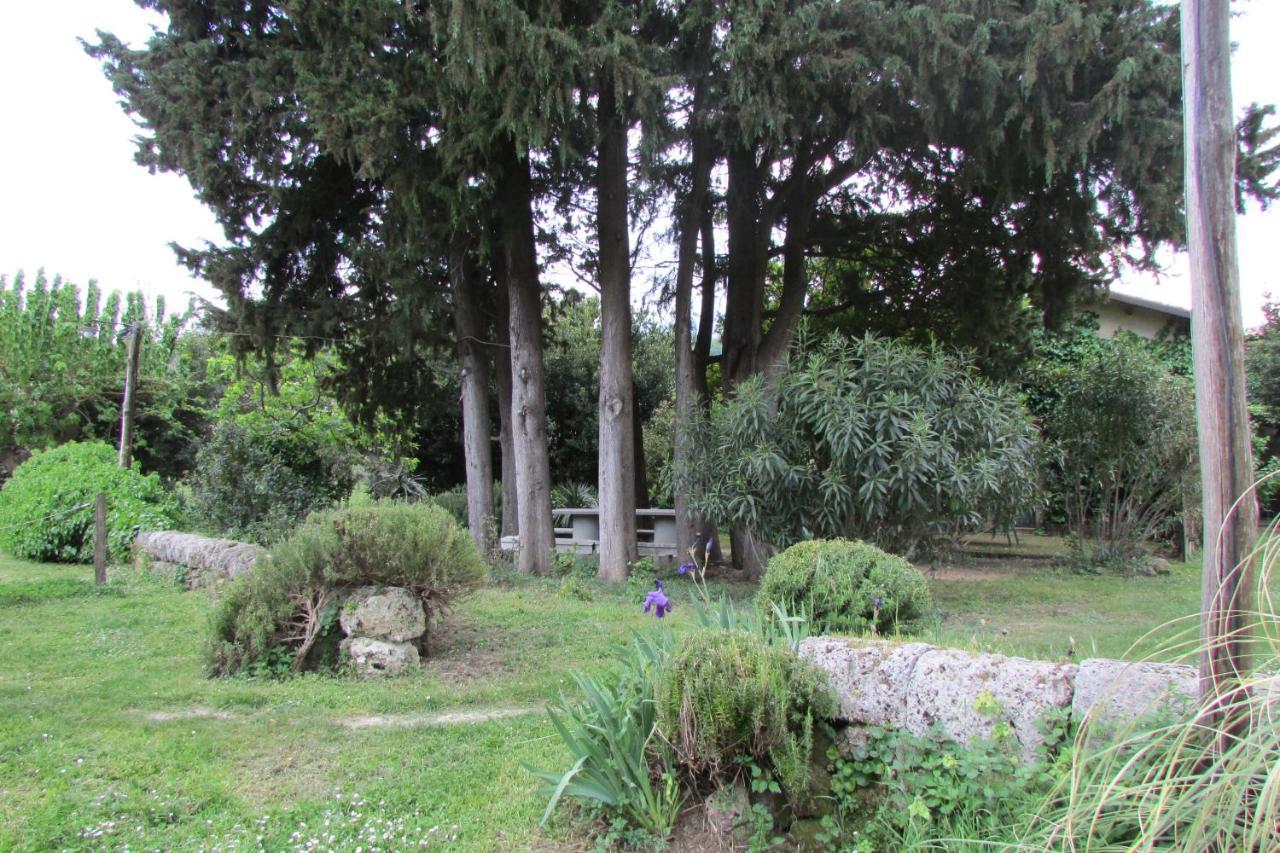Agriturismo "Borgo Madonna Degli Angeli" - Charming Cottages In The Gardens ! Tocco da Casauria Eksteriør billede