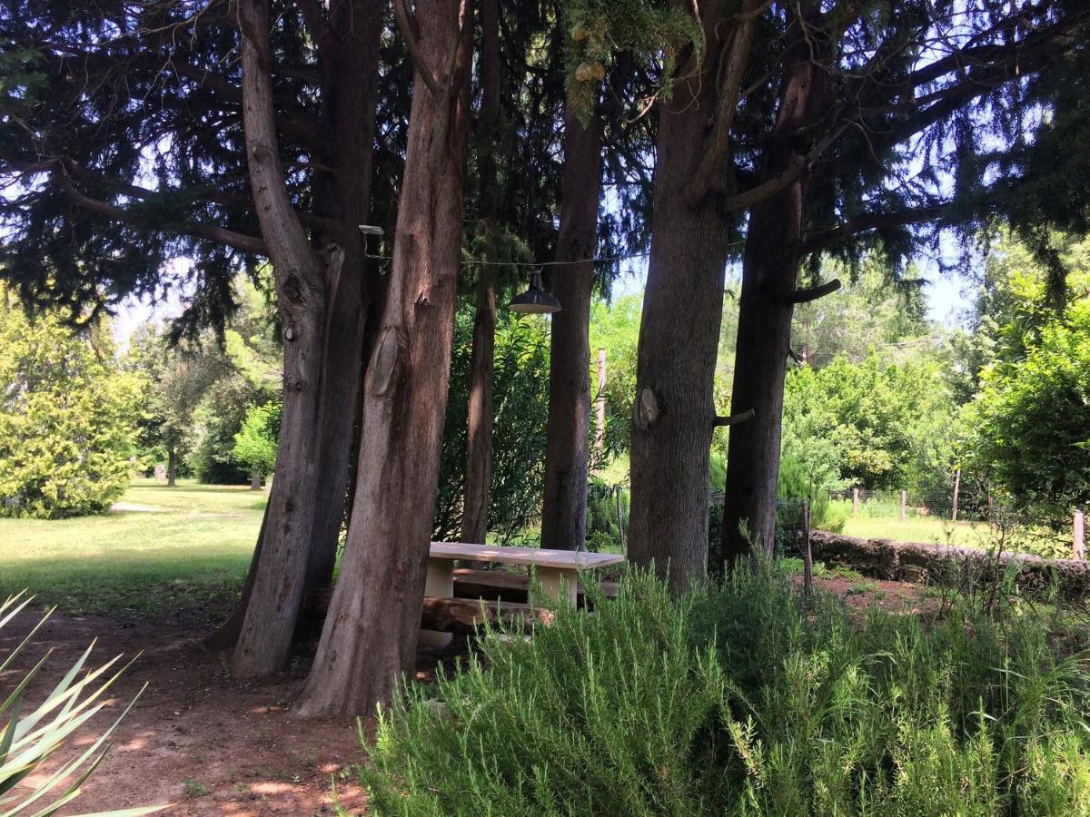 Agriturismo "Borgo Madonna Degli Angeli" - Charming Cottages In The Gardens ! Tocco da Casauria Eksteriør billede