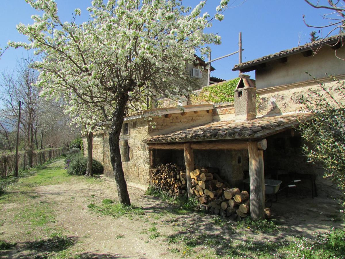 Agriturismo "Borgo Madonna Degli Angeli" - Charming Cottages In The Gardens ! Tocco da Casauria Eksteriør billede