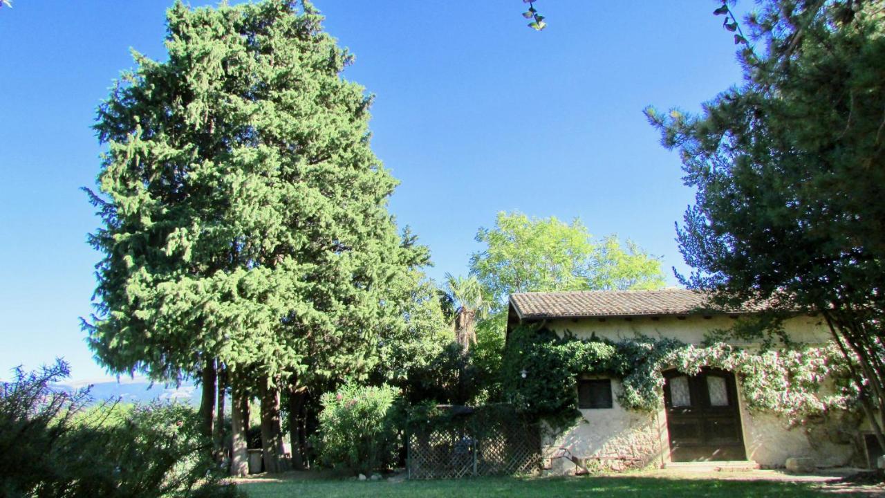 Agriturismo "Borgo Madonna Degli Angeli" - Charming Cottages In The Gardens ! Tocco da Casauria Eksteriør billede