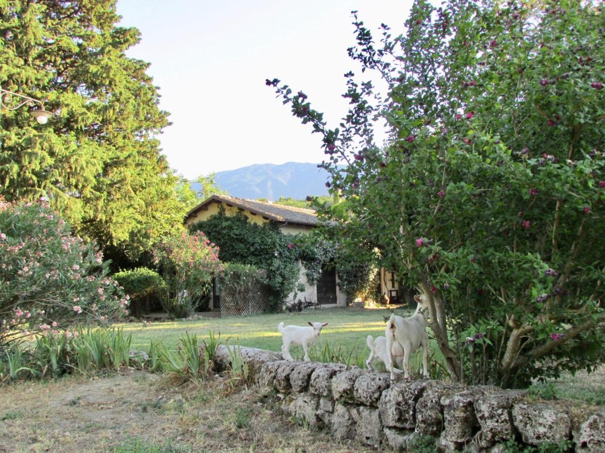 Agriturismo "Borgo Madonna Degli Angeli" - Charming Cottages In The Gardens ! Tocco da Casauria Eksteriør billede
