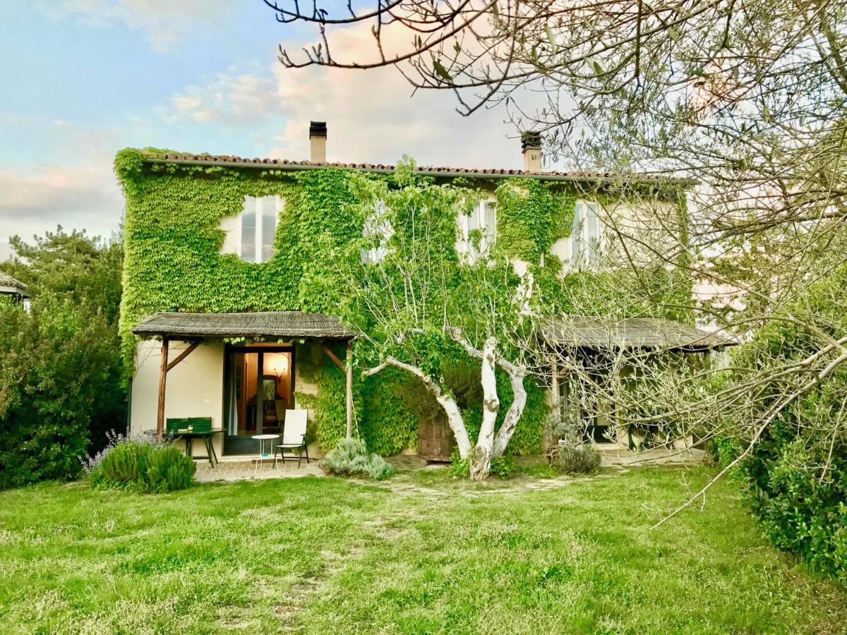 Agriturismo "Borgo Madonna Degli Angeli" - Charming Cottages In The Gardens ! Tocco da Casauria Eksteriør billede