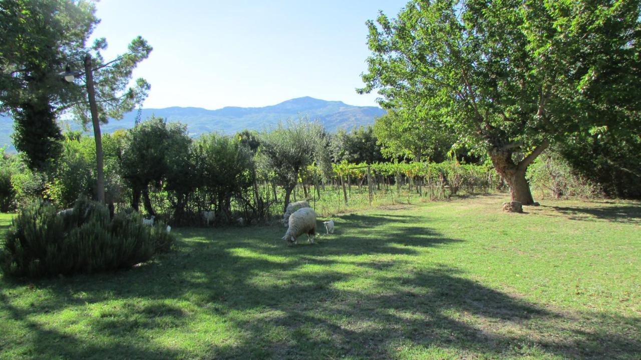 Agriturismo "Borgo Madonna Degli Angeli" - Charming Cottages In The Gardens ! Tocco da Casauria Eksteriør billede