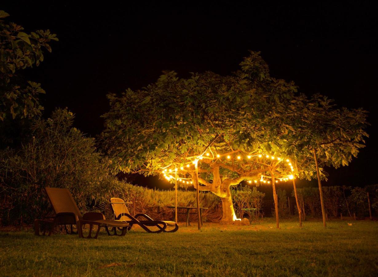 Agriturismo "Borgo Madonna Degli Angeli" - Charming Cottages In The Gardens ! Tocco da Casauria Eksteriør billede