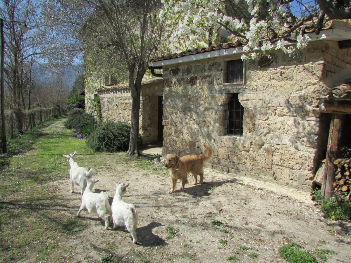 Agriturismo "Borgo Madonna Degli Angeli" - Charming Cottages In The Gardens ! Tocco da Casauria Eksteriør billede