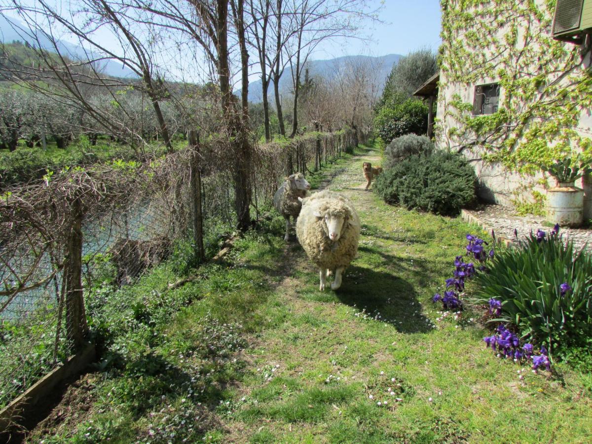 Agriturismo "Borgo Madonna Degli Angeli" - Charming Cottages In The Gardens ! Tocco da Casauria Eksteriør billede