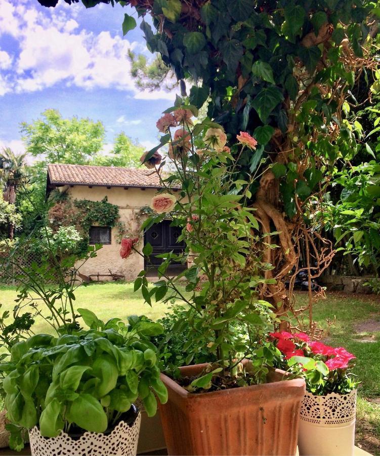 Agriturismo "Borgo Madonna Degli Angeli" - Charming Cottages In The Gardens ! Tocco da Casauria Eksteriør billede
