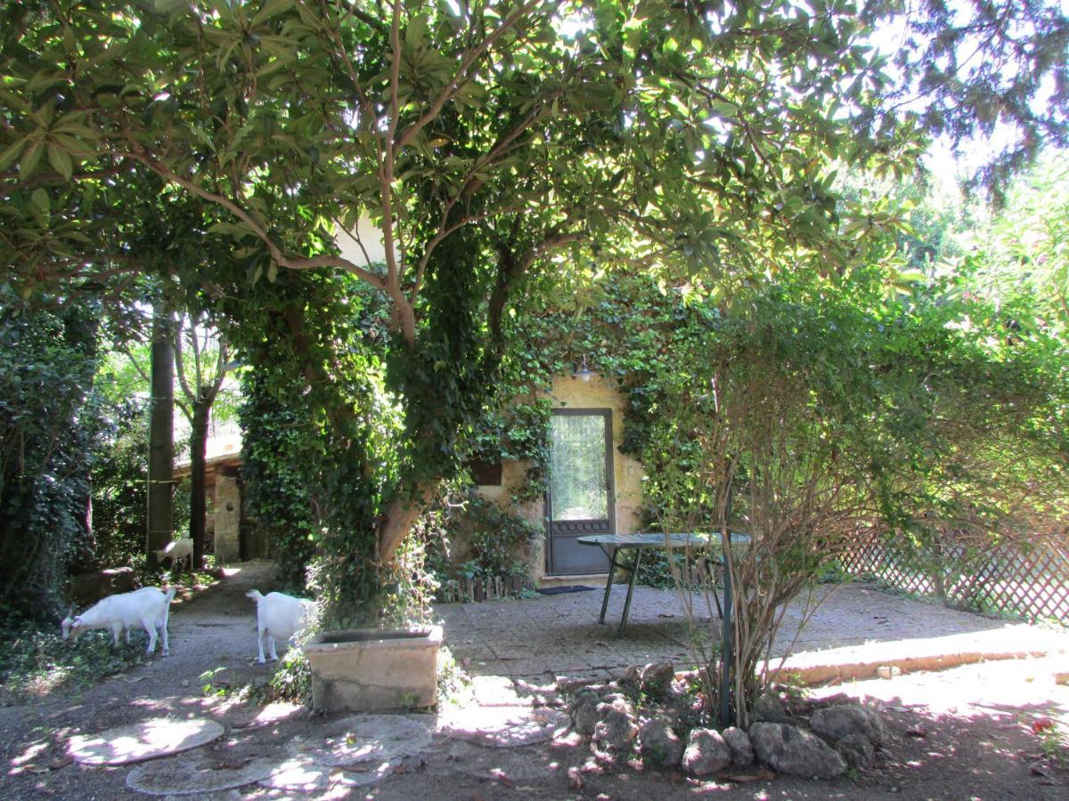 Agriturismo "Borgo Madonna Degli Angeli" - Charming Cottages In The Gardens ! Tocco da Casauria Eksteriør billede