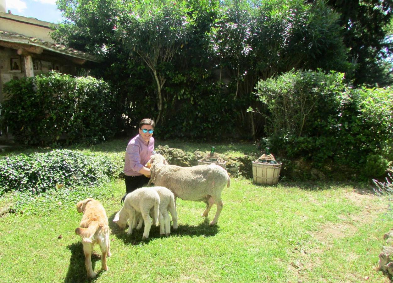 Agriturismo "Borgo Madonna Degli Angeli" - Charming Cottages In The Gardens ! Tocco da Casauria Eksteriør billede