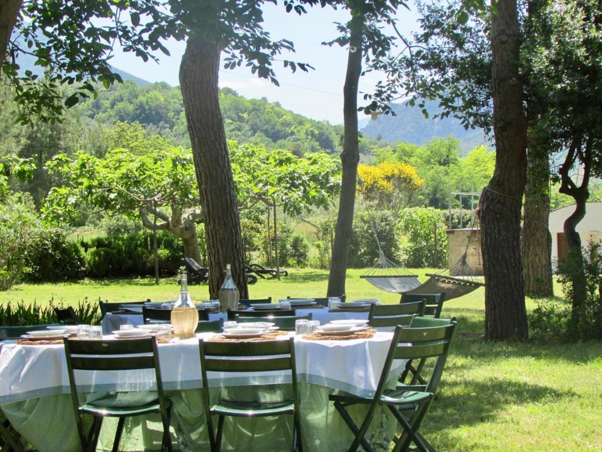 Agriturismo "Borgo Madonna Degli Angeli" - Charming Cottages In The Gardens ! Tocco da Casauria Eksteriør billede