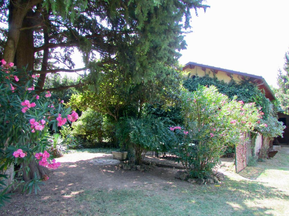 Agriturismo "Borgo Madonna Degli Angeli" - Charming Cottages In The Gardens ! Tocco da Casauria Eksteriør billede