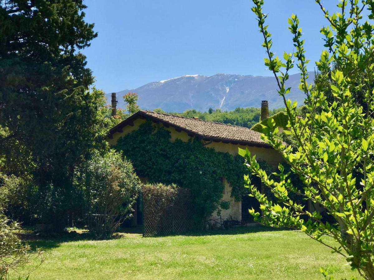 Agriturismo "Borgo Madonna Degli Angeli" - Charming Cottages In The Gardens ! Tocco da Casauria Eksteriør billede