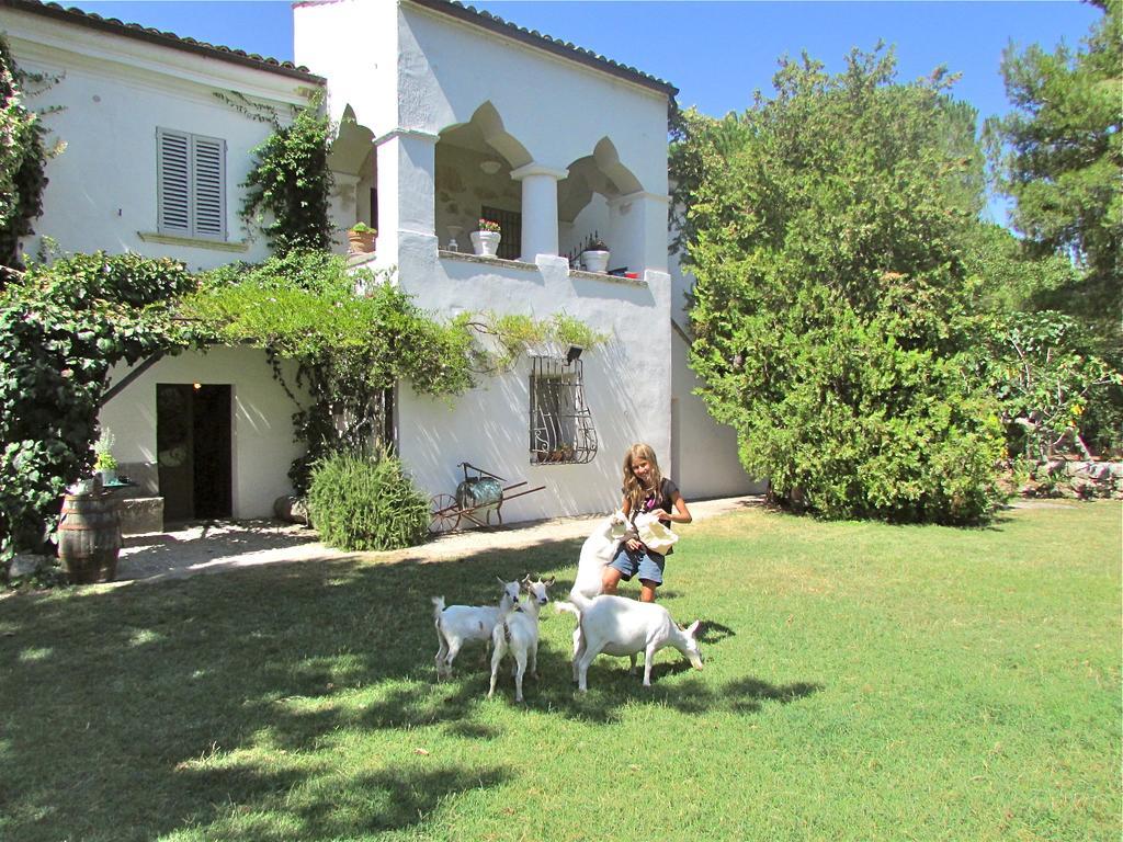 Agriturismo "Borgo Madonna Degli Angeli" - Charming Cottages In The Gardens ! Tocco da Casauria Eksteriør billede