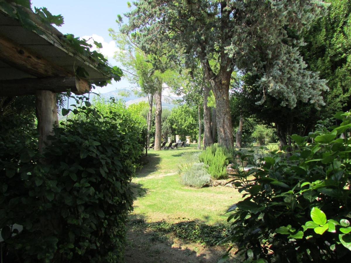 Agriturismo "Borgo Madonna Degli Angeli" - Charming Cottages In The Gardens ! Tocco da Casauria Eksteriør billede